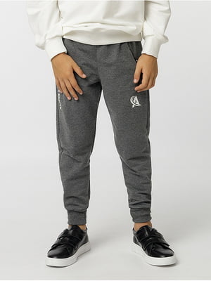 Спортивні штани для хлопчика 134 сірий Atescan ЦБ-00225066 | 6843523