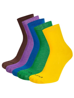 Набір шкарпеток різнокольорових демісізонних (5 пар) | 6846017