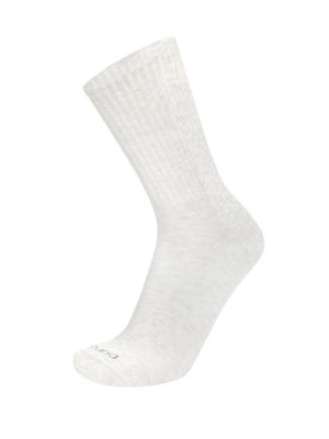 Шкарпетки демісезонні сіро-бежеві | 6846223