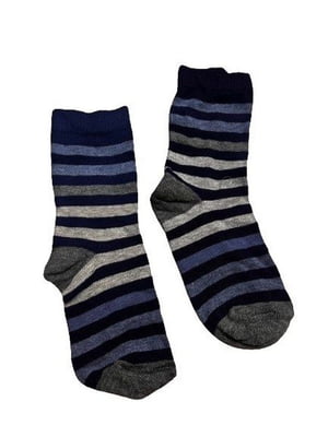 Шкарпетки синьо-сірі в смужку | 6848733