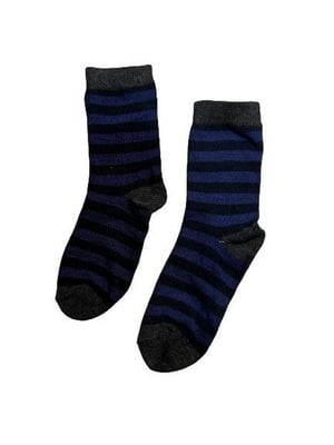 Шкарпетки сині в смужку | 6848806