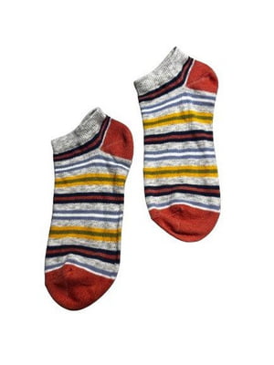 Сірі шкарпетки в різнокольорову смужку | 6848867