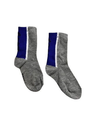 Сірі шкарпетки з синіми вставками | 6849206