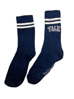 Сині шкарпетки з написом та смужками | 6849755