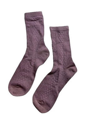 Шкарпетки темно-бузкові | 6850443