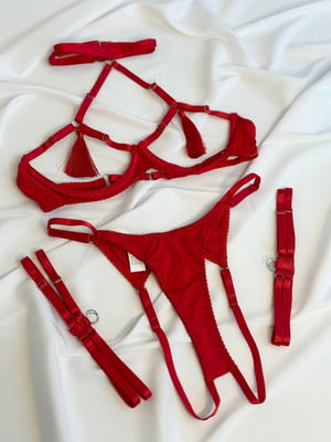 Червоний комплект еротичної білизни: бюст, труси, гартери | 6850497