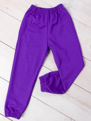 Фіолетові трикотажні спортивні штани на резинці | 6852314