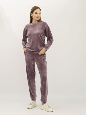 Велюровий костюм фрезового кольору Лєрра 116: штани на резинці та джемпер | 6883334