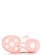 Півчобітки рожеві | 2056762 | фото 4