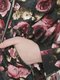 Ветровка черно-розовая цветочной расцветки | 2363876 | фото 4