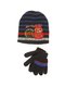 Комплект: шапка і рукавички | 2986802