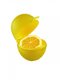 Контейнер для лимона | 3645276