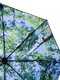 Зонт-полуавтомат двухсторонний | 3968761 | фото 3