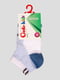 Шкарпетки біло-блакитні | 4366725