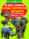 Книга «Велика книжка. Слони, носороги, бегемоти» | 4315845
