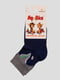 Шкарпетки темно-сині | 3630543