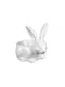 Контейнер для специй «Кролик» (12х8х10,5 см) | 4493706