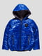 Куртка двухсторонняя серебристо-синяя | 4472591