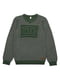 Пуловер сіро-зелений | 4499283