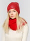 Комплект: шапка і шарф-снуд | 4595720