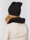 Комплект: шапка на флисе и шарф-снуд | 4699335 | фото 2