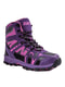 Ботинки фиолетовые | 4706130
