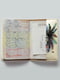Обложка для паспорта | 4881547 | фото 3