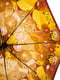 Зонт-полуавтомат | 5156632 | фото 2