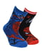 Набір махрових шкарпеток (2 пари) | 5176035