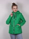 Куртка зеленая | 5205170