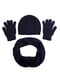 Комплект: шапка, шарф и перчатки | 5217901