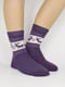 Носки фиолетовые с орнаментом | 5226506