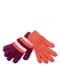 Набор перчаток (2 пары) | 5217917