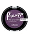 Тіні для повік Relouis Pro Picasso Limited Edition тон - 06 Dark Orchid | 5303530