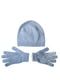 Комплект: шапка и перчатки | 5325926