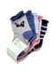 Набір шкарпеток (5 пар) | 5326014