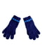 Перчатки синие | 5326206