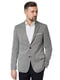 Пиджак серый | 5310112