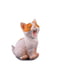 Фігурка декоративна «Кішка» | 5443347