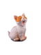 Фігурка декоративна «Кішка» | 5443347 | фото 2