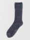 Шкарпетки сірі | 5548328
