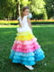 Сукня різнобарвна | 5596550 | фото 5