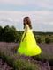 Сукня лимонного кольору | 5596549 | фото 2