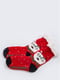 Шкарпетки червоні у принт | 5604198 | фото 2