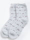 Шкарпетки сірі | 5604200