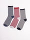 Комплект шкарпеток (3 пари) | 5604965