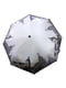 Зонт | 5641140