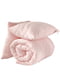 Комплект: одеяло (200х220) и подушки (50х70; 2 шт) | 5661026