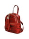 Рюкзак красного цвета с анималистическим узором | 5704354 | фото 2