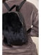 Рюкзак чорний | 5749757 | фото 2